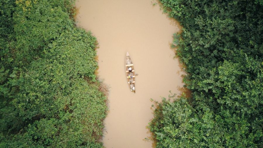High angle view of people on field by trees