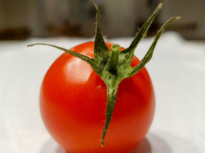 Close-up of tomato 