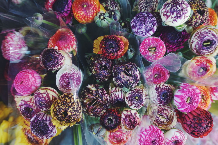 Full frame shot of multi colored flowers for sale in market