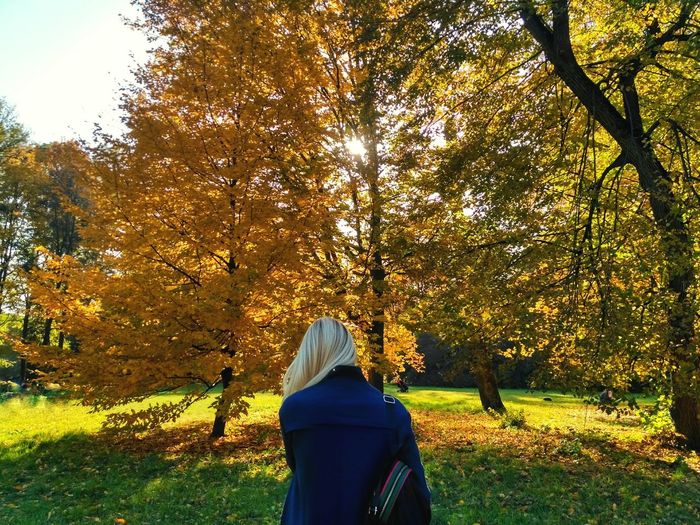 Rear view of woman standing in park during autumn