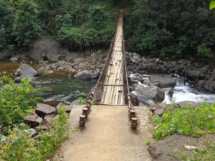 Footbridge over river in forest