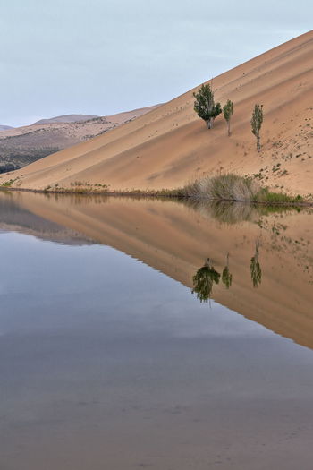 1037 lake badain east reflects a megadune of the badain jaran area-gobi desert. inner mongolia-china