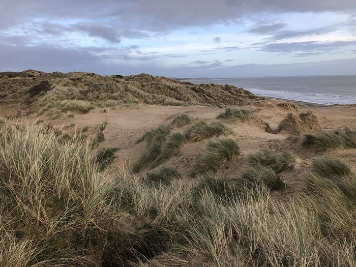 The sand dunes of murlough beach, newcastle northern ireland
