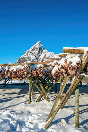 Scenic view of snowcapped mountains against clear blue sky
