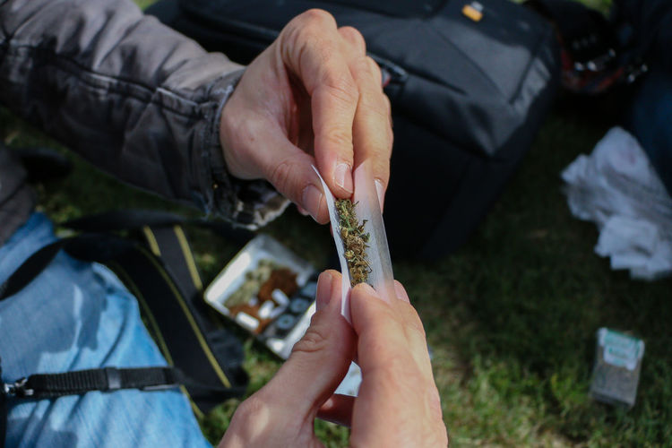 Cropped hands of man making marijuana joint on grass