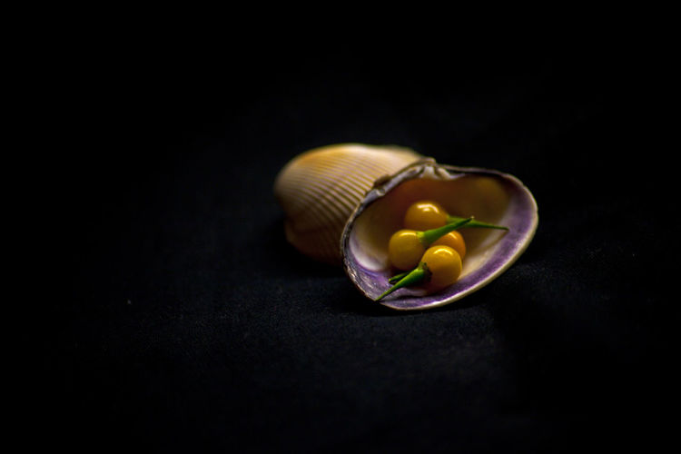Close-up of fruits in shell on black background