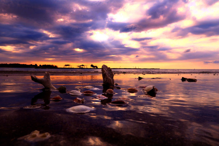 Seashells and stones on wet beach against cloudy sky