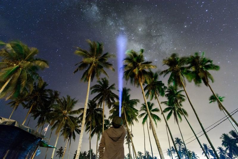 Low angle view of man with torch light standing by palm trees against sky at night