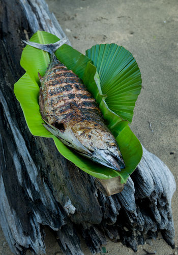 High angle view of cooked fish