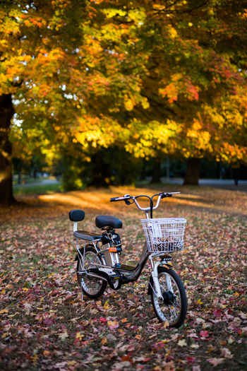 Bicycle parked on footpath during autumn