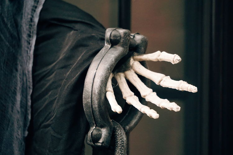 Close-up of human skeleton