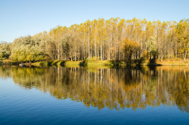 reflection