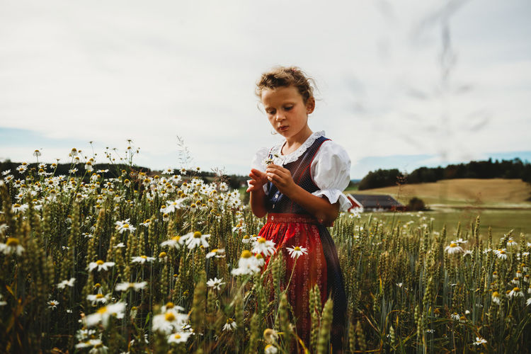 Beautiful girl collecting daises at field in norway wearing dress