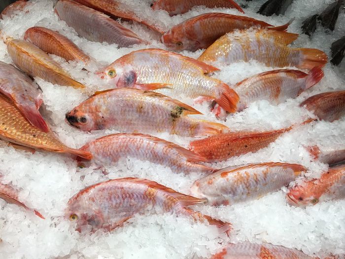 Fishes in super market.