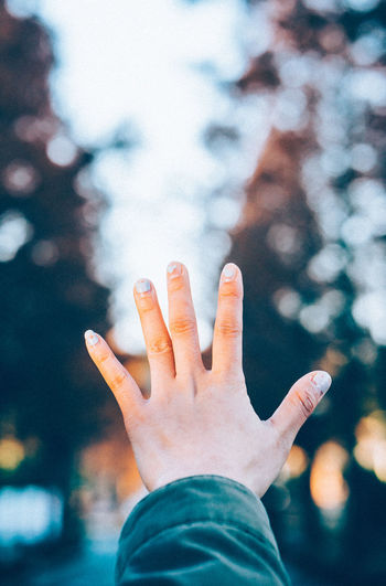 Cropped hand of woman gesturing against trees at park