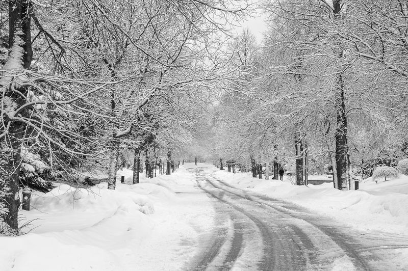 Snow covered road amidst trees during winter