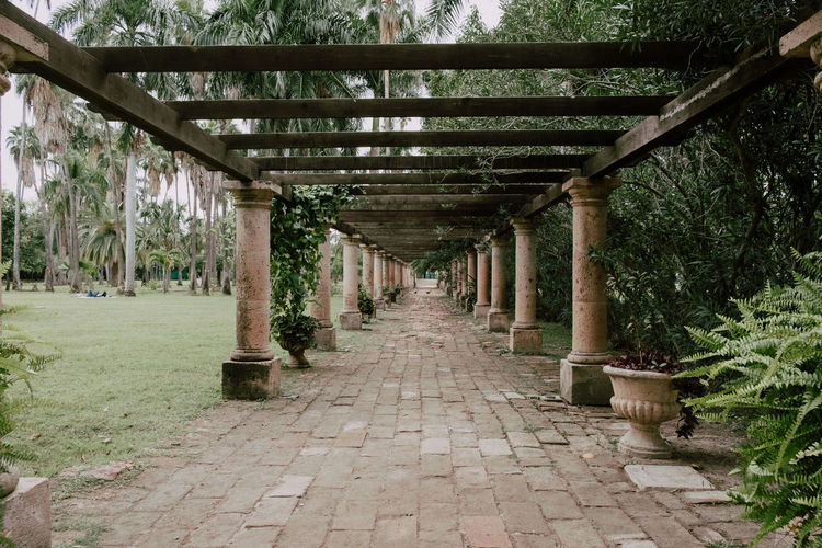 Diminishing perspective of footpath amidst plants in park