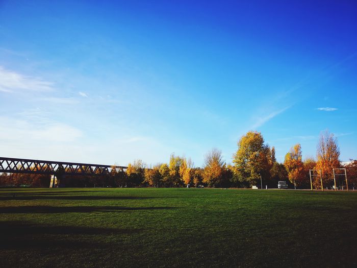 Scenic view of trees on field against blue sky