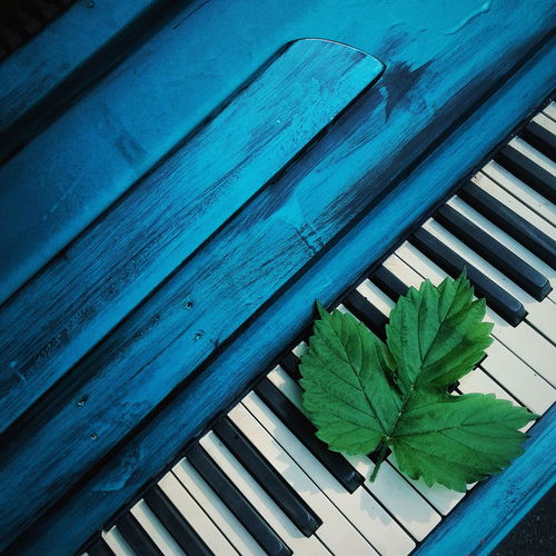 High angle view of leaf on grand piano