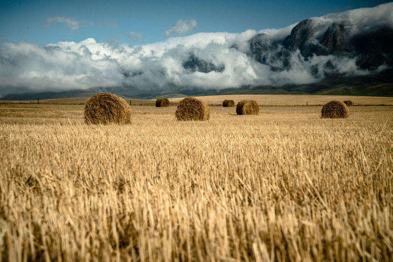 Bale Pictures Curated Photography On Eyeem