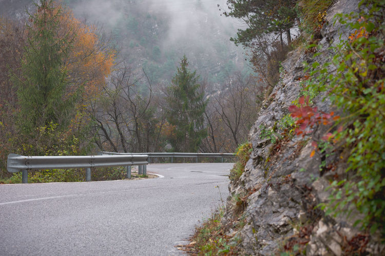 Road amidst trees in forest during autumn