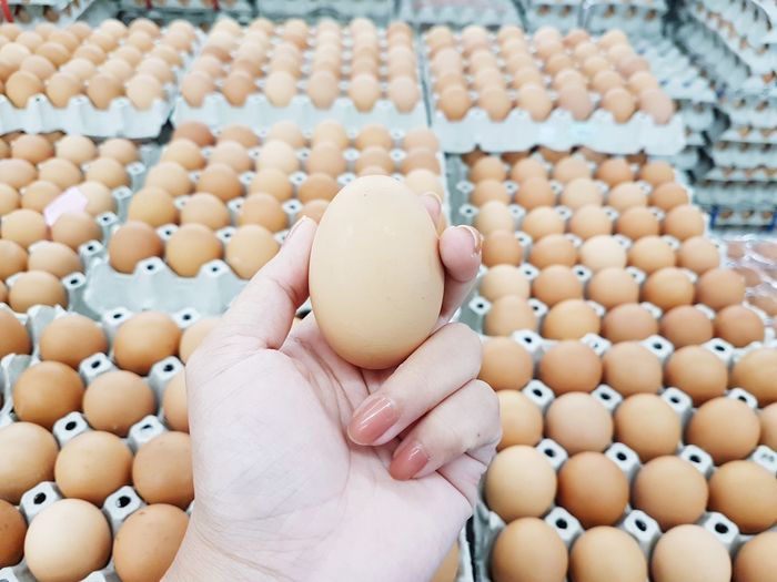 A hand is holding an egg