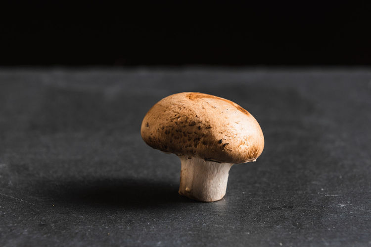 A solitary mushroom on a slate board