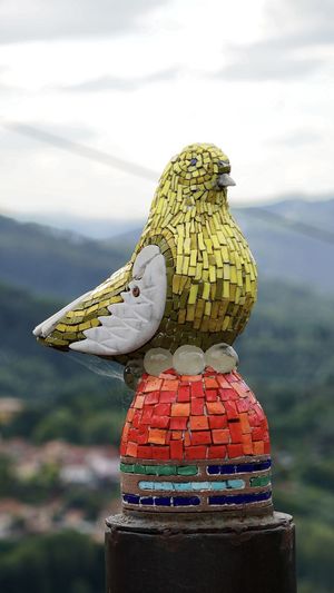 Close-up of bird perching on mountain against sky