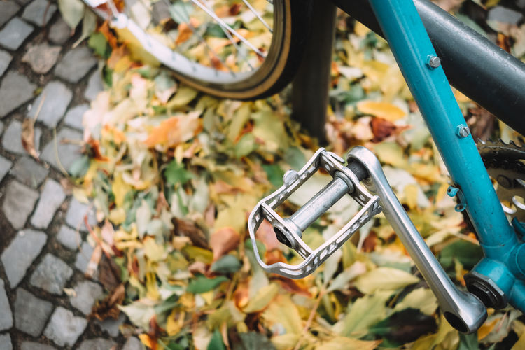 Cropped image of bicycle parked by autumn leaves on footpath