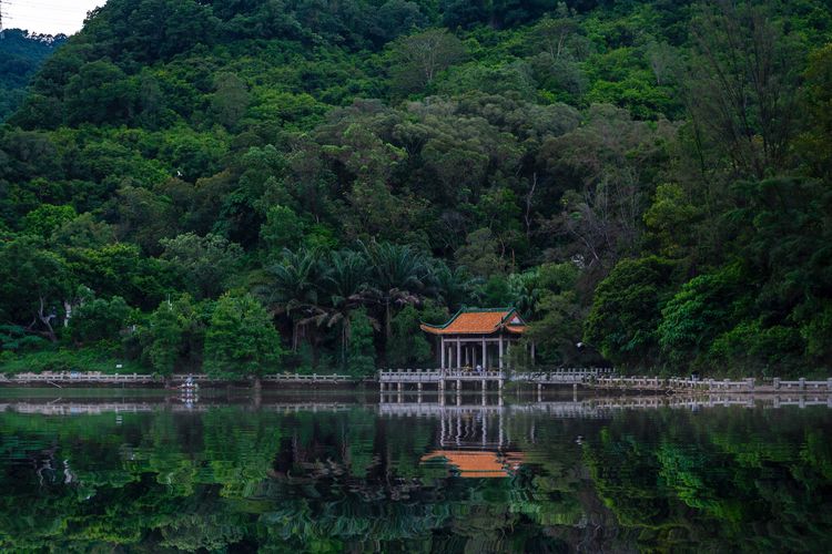Built structure by lake against trees in forest