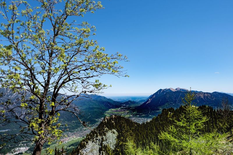 Scenic view of tree mountains against clear blue sky