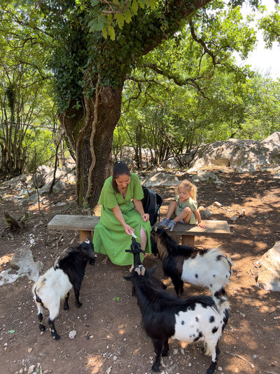 Side view of woman with dogs on field