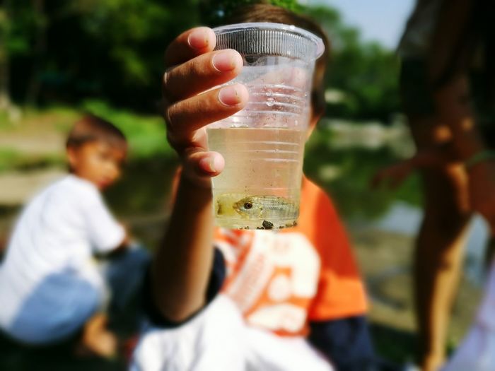 Close-up of fish in a plastic glass