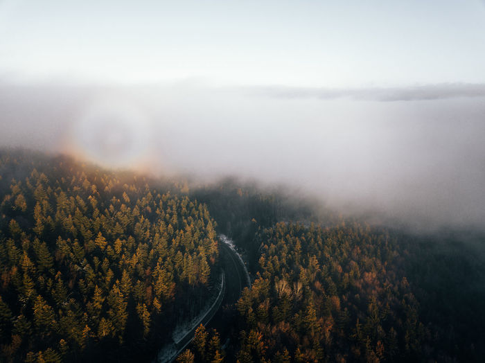 Scenic view of field against sky during foggy weather