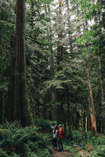 A young couple enjoys a hike on a trail in the pacific northwest.