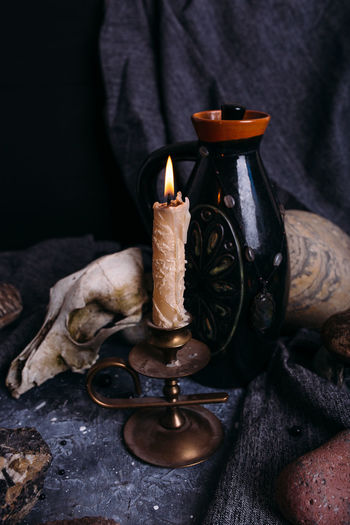 Old dog skull, jug and stones on witch table. enchanted drink with flower petals