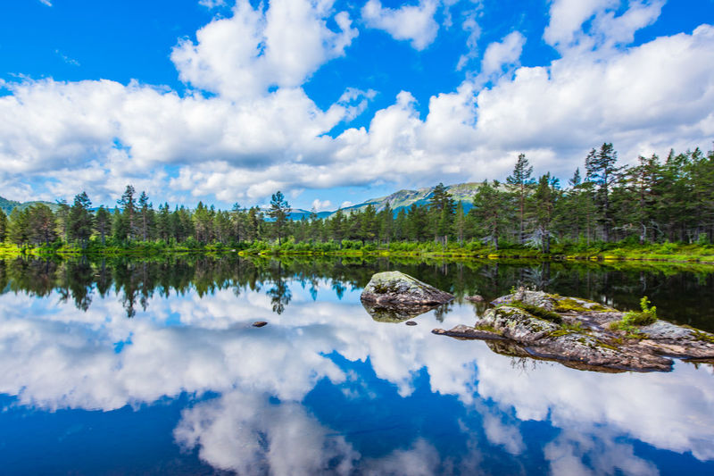 Panoramic view of lake and trees against blue sky
