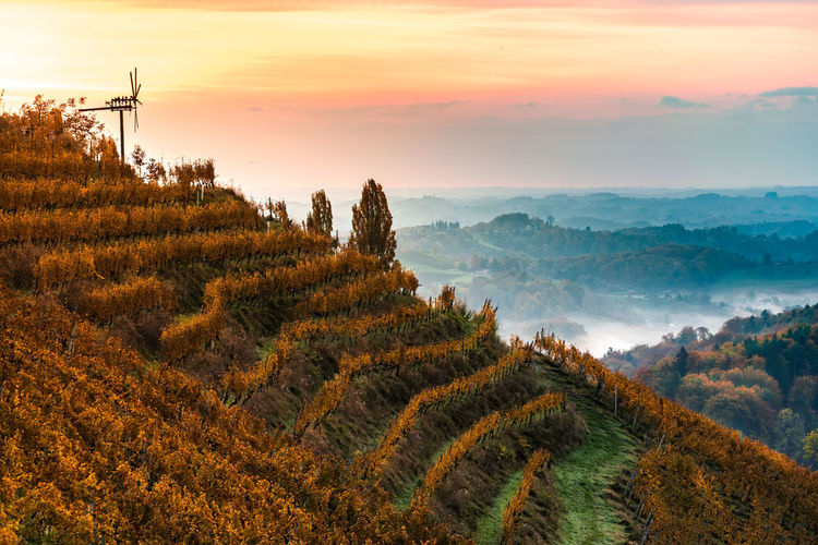 Autumn view from south styrian route in austria at hills in slovenia during sunraise. 