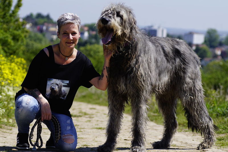 are irish wolfhound hypoallergenic