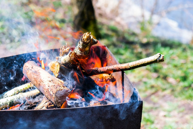Firewood burning on a brazier. bbq on the garden. smoky bonfire. fire for grill. summer leisure 