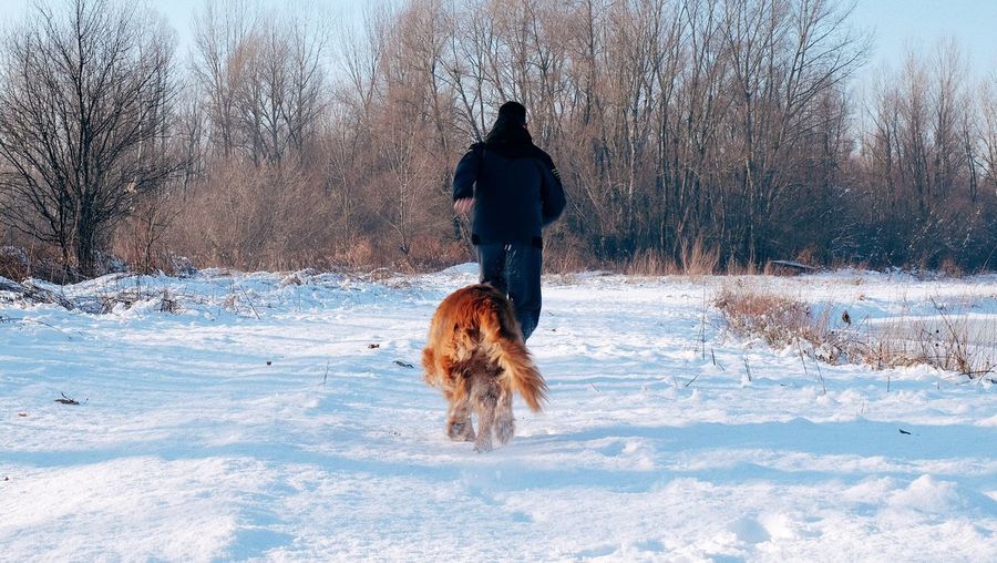 Full length of dog on snow covered landscape