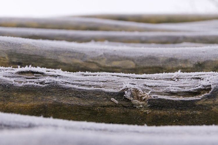 Close-up of frost covered logs