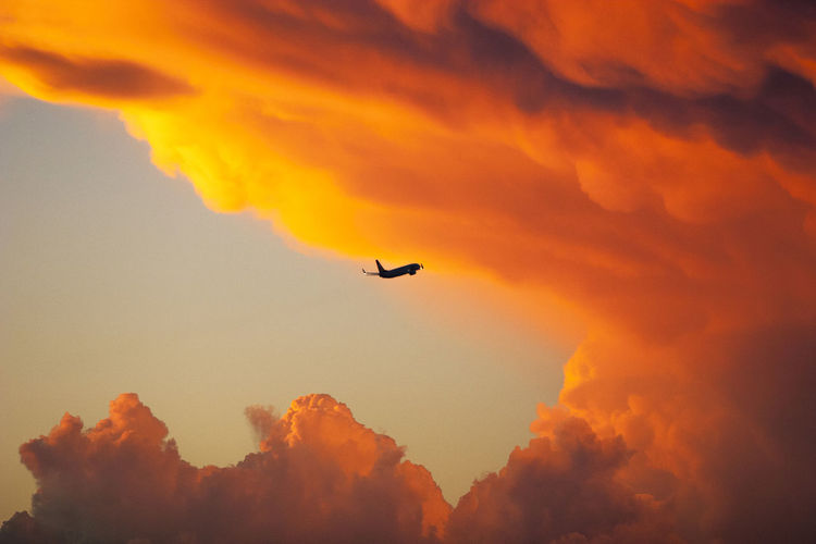 Low angle view of airplane flying in sky