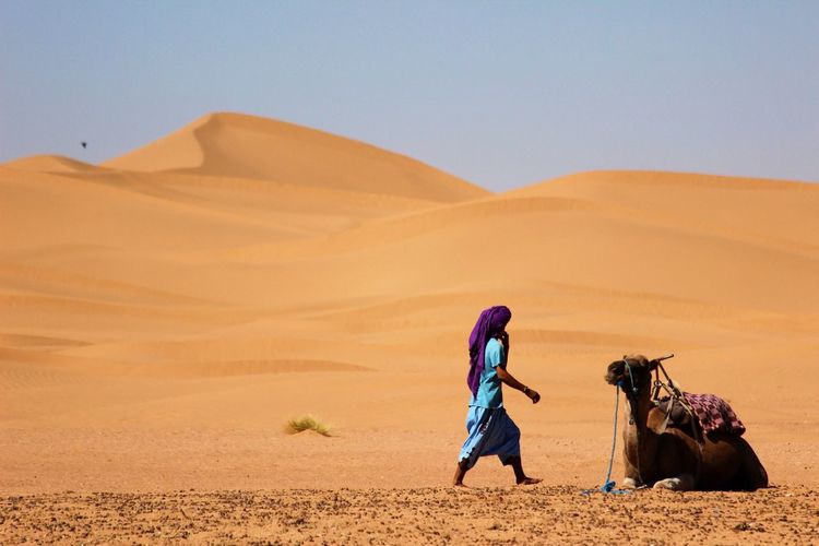 Man with camel on sand dune in desert against clear sky
