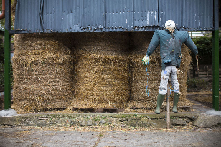 Full length of scarecrow in a barn on a farm