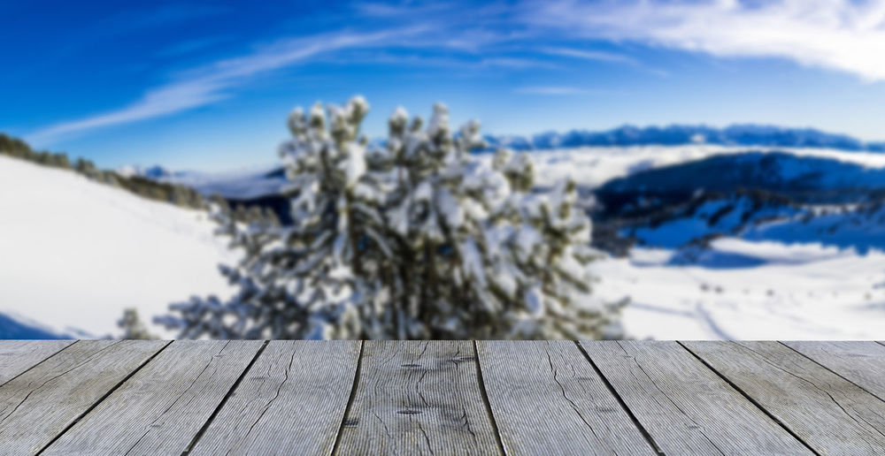 Close-up of snow on wood against sky