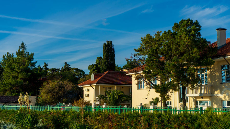 Trees and buildings against blue sky