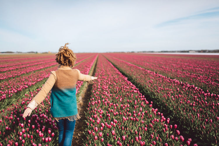 Rear view of person standing on a pink tulip field against sky