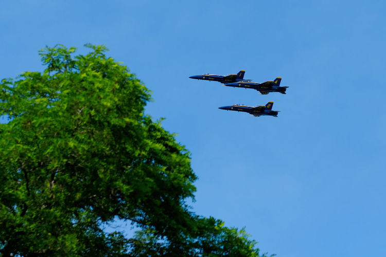 Low angle view of airshow flying against sky