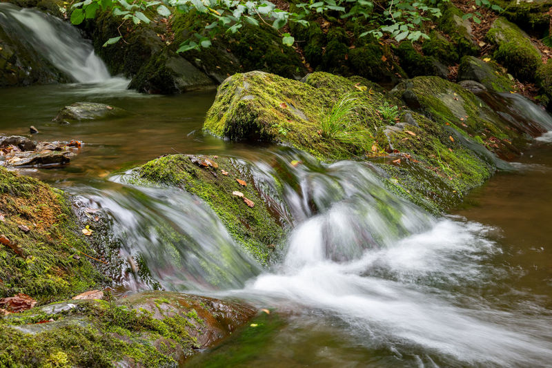 water